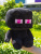 GvWKm50o91.jpg