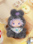 KqQ7c7SDRb.jpg KqQ7c7SDRb.jpg