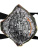 V4Hq66ZVZM.jpg