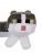 hOhQawPQOX.jpg